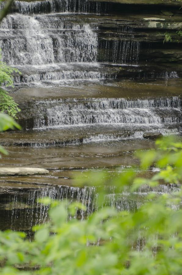 Clifty Inn ماديسون المظهر الخارجي الصورة